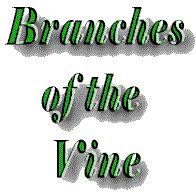 Branches of the Vine