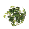 vinebut.gif (5335 bytes)
